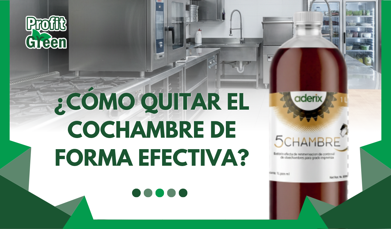 ¿Cómo quitar el cochambre de forma efectiva?